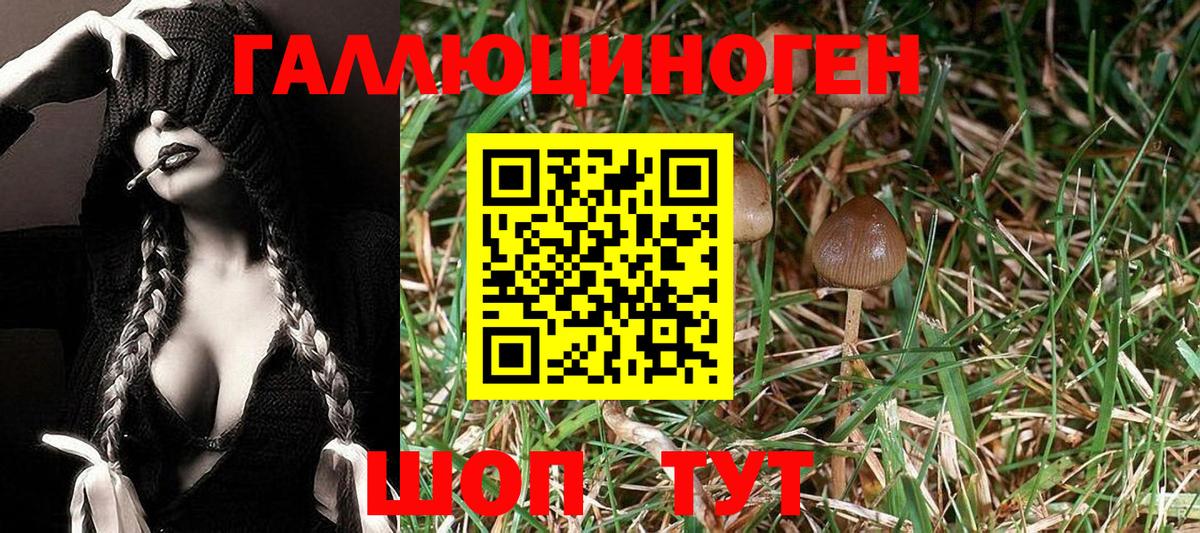 Псилоцибиновые грибы мицелий Борзя