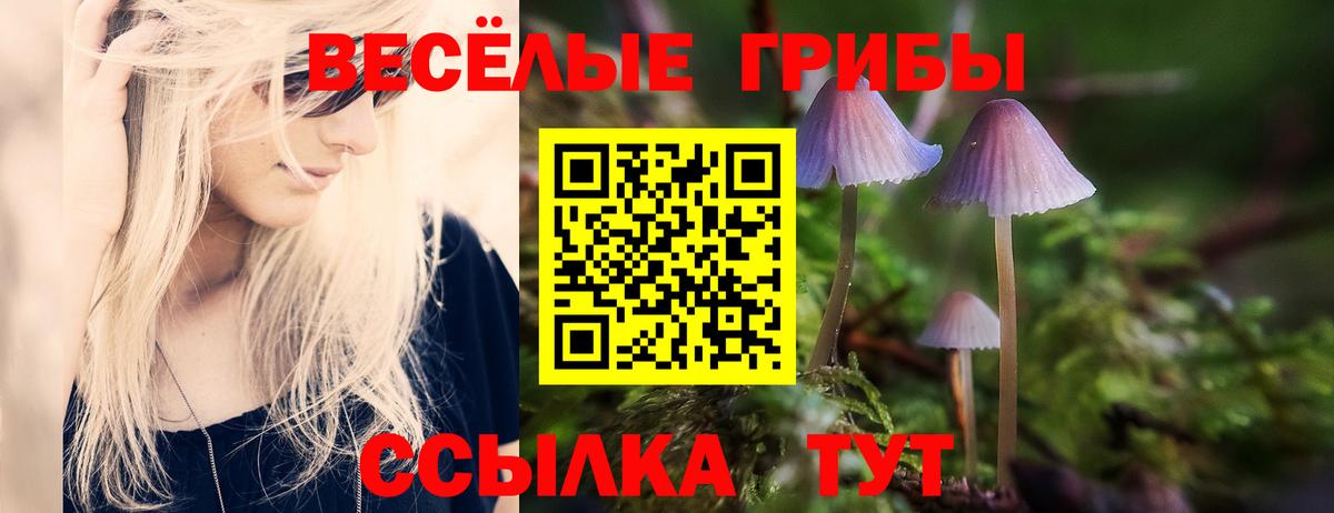 Борзя  Псилоцибиновые грибы MAGIC MUSHROOMS  Вход с VPN 